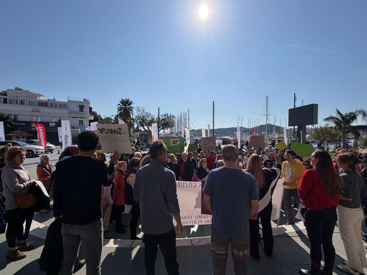 Muğla’da Hayvan Hakları Tepkisi: “Sessiz Canların Sesi Oluyoruz” 6
